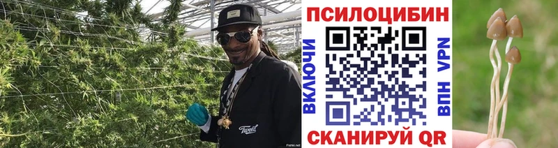 дарнет шоп  Ивдель  omg зеркало  Псилоцибиновые грибы мицелий 